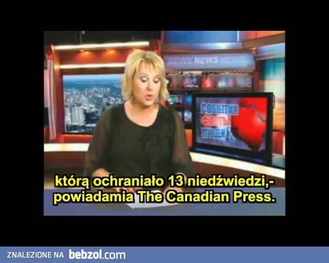 Co tam robiła świnia?!