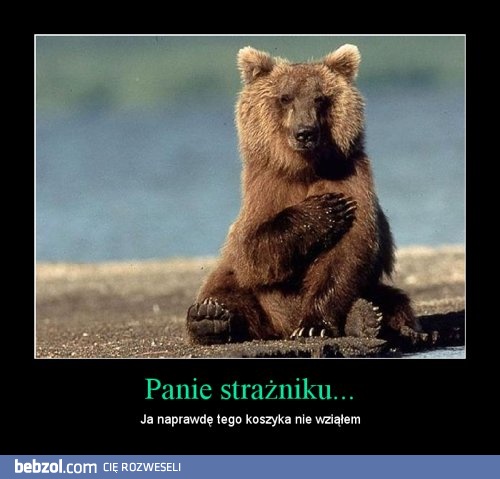 Panie strażniku...