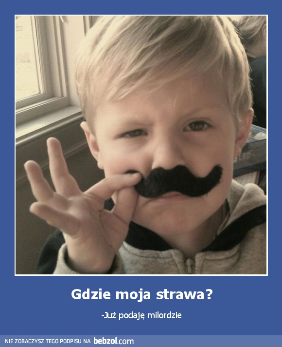 Gdzie moja strawa?