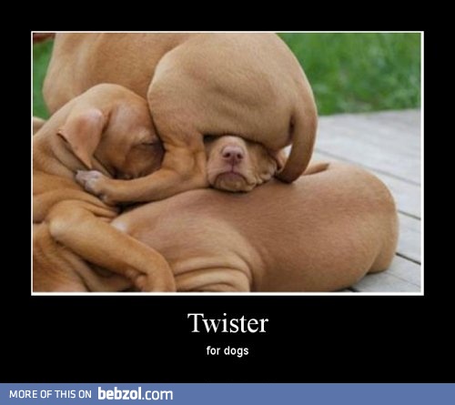 Twister