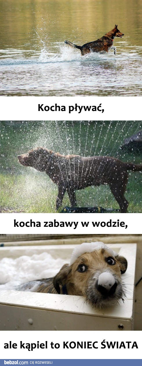 Psie kąpiele