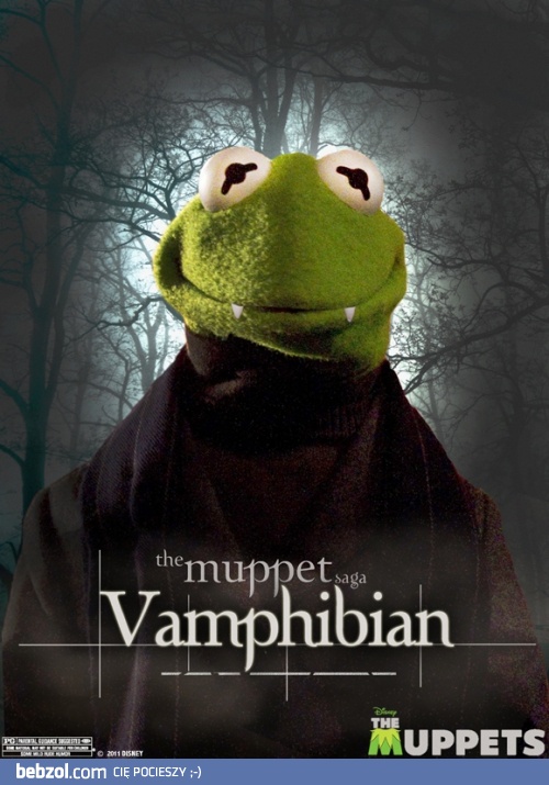 The Muppet Saga