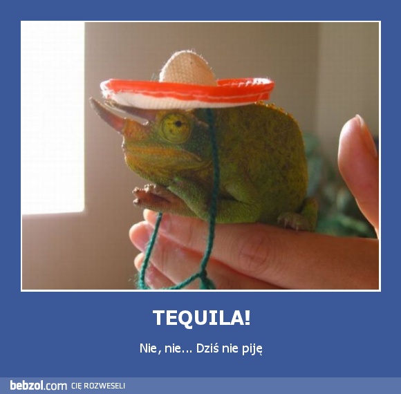 TEQUILA!