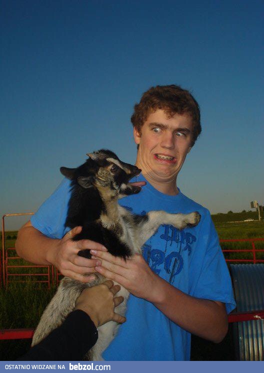I AM NOT GOOD AT HOLDING GOATS