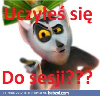 Uczyłeś się już?