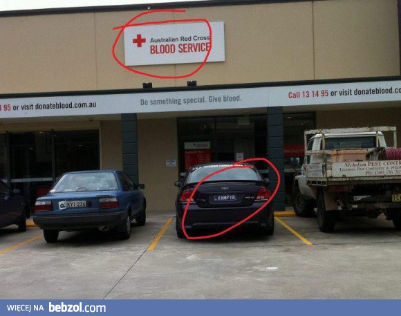 Może nie lubi gryźć?