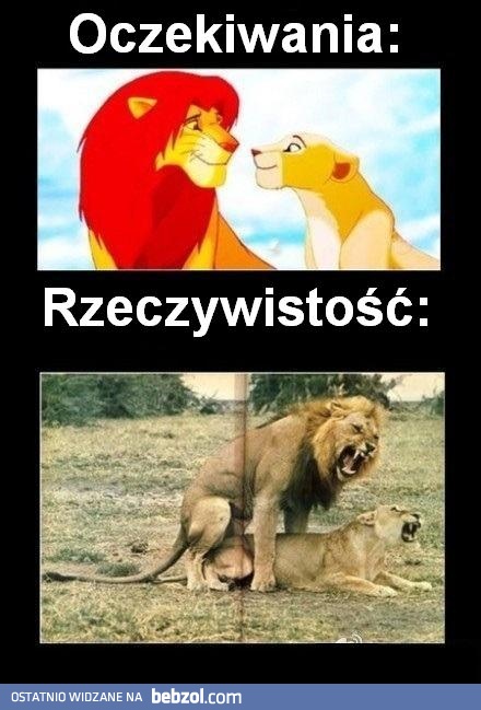 Rzeczywistość 