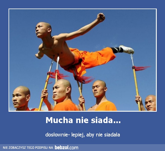 Mucha nie siada...