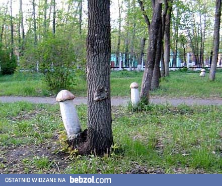 Jak nie upiększać posesji