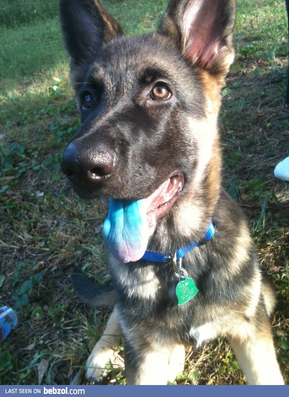 Did you drink my slushie? WHY?