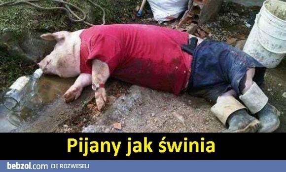 Każdemu się zdarza!