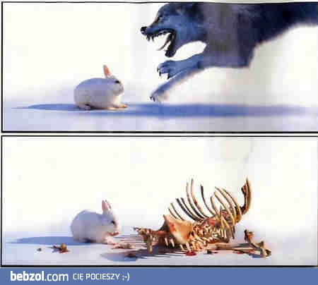 Nie fikaj do mniejszych!