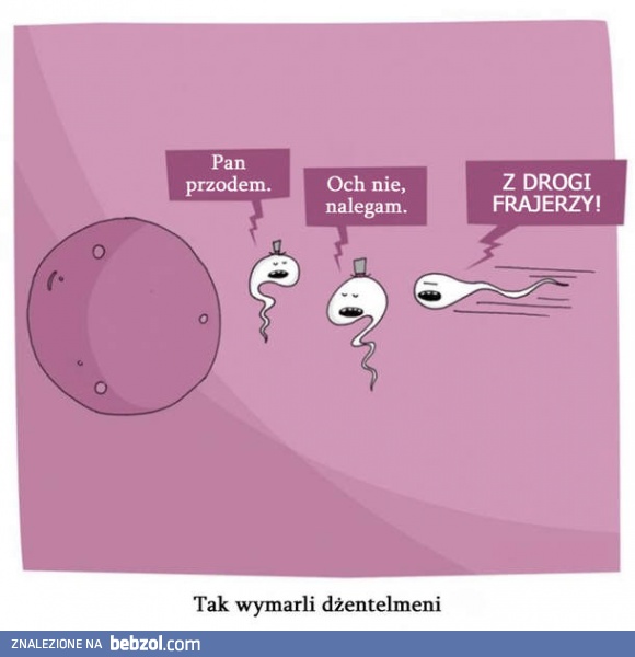 Tak wymarli dżentelmeni