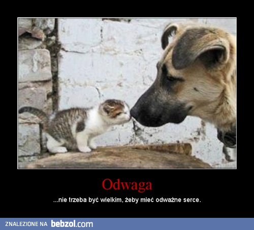 Odwaga