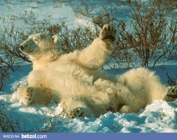 Więcej nie polewajcie