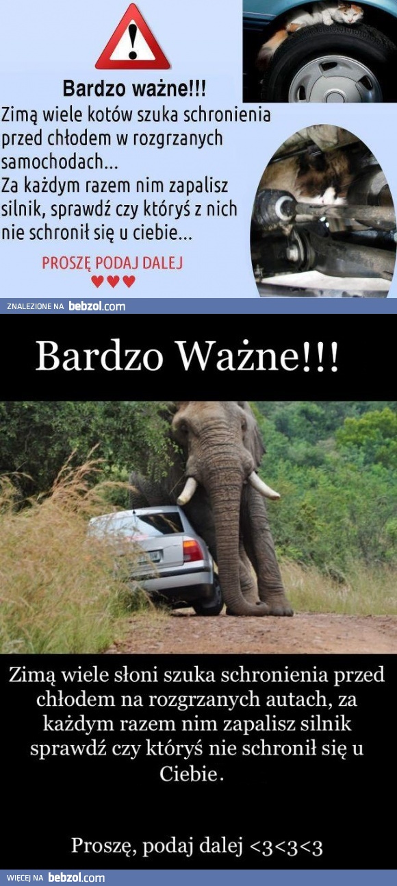 Ważne, podaj dalej! (fix)