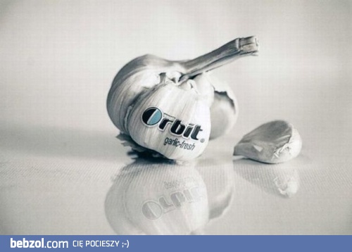 Orbit - garlic fresh