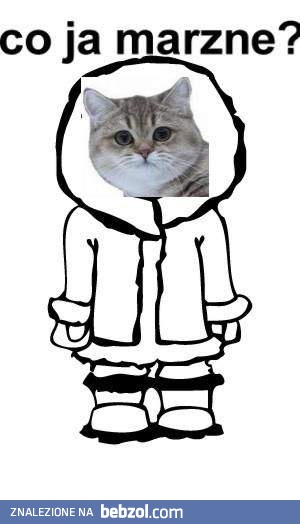 Co ja marznę?