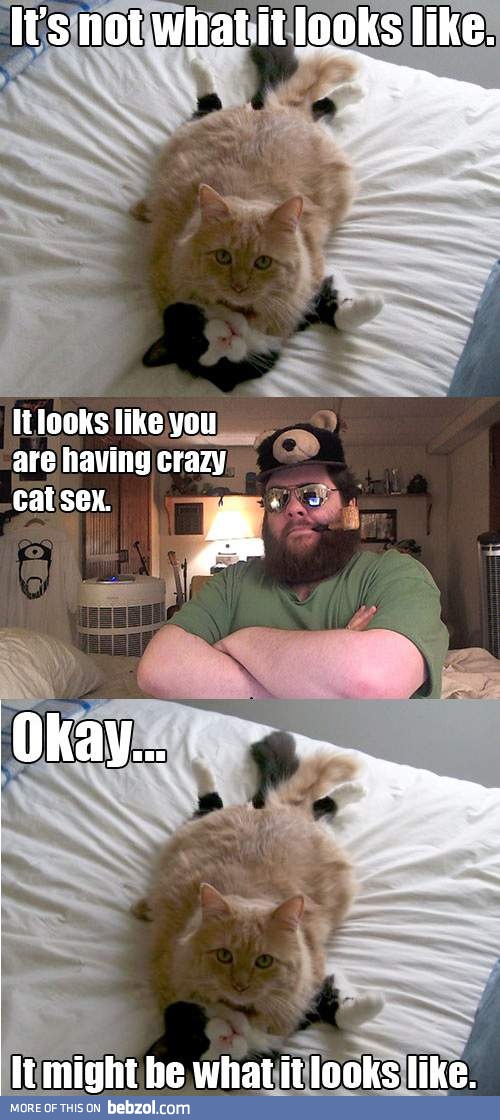 Cats