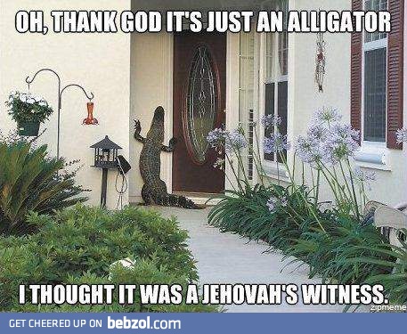 Knock, knock