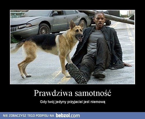 Prawdziwa samotność