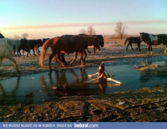 Jego pierwsza zima...
