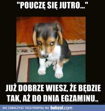 Każdy student zawsze się tak oszukuje