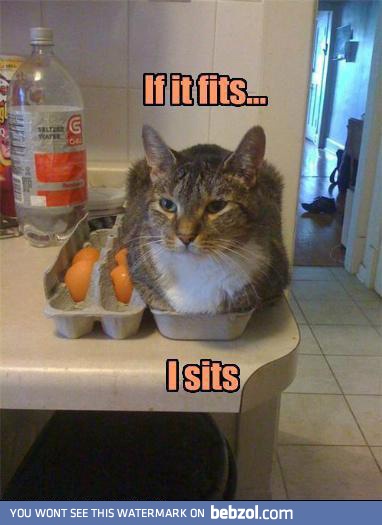 Indeed you do, cat