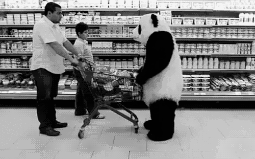 Zła panda
