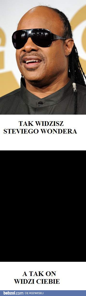Stevie Wonder