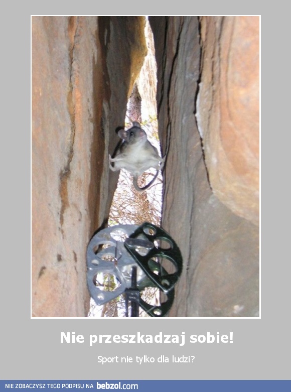 Nie przeszkadzaj sobie!