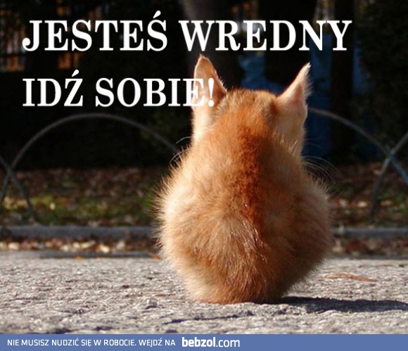 Jesteś złym człowiekiem. FOCH!