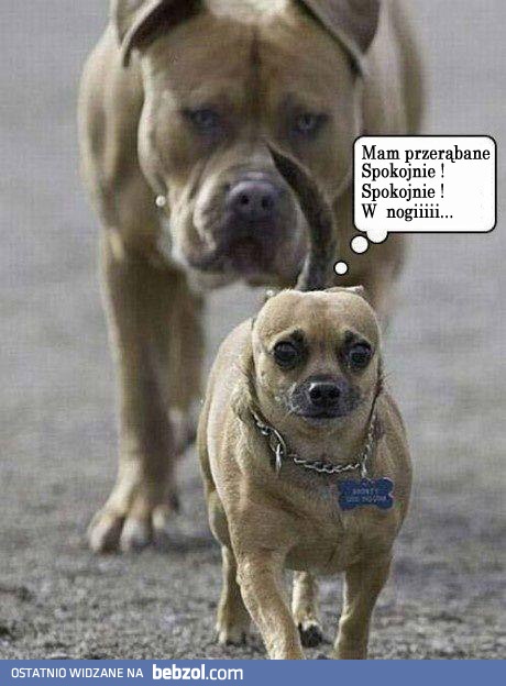Chyba mamy problem!?
