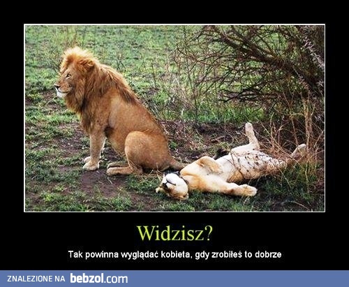 Widzisz?