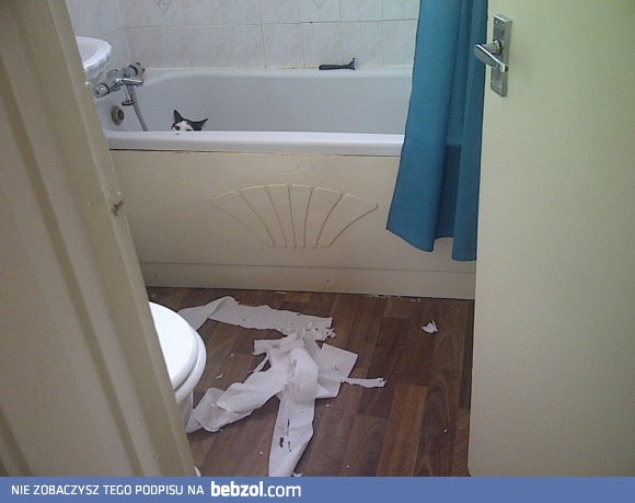 Ciekawe kto mógł to zrobić...