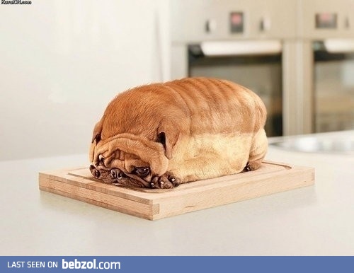 Is this a loaf of bread?
