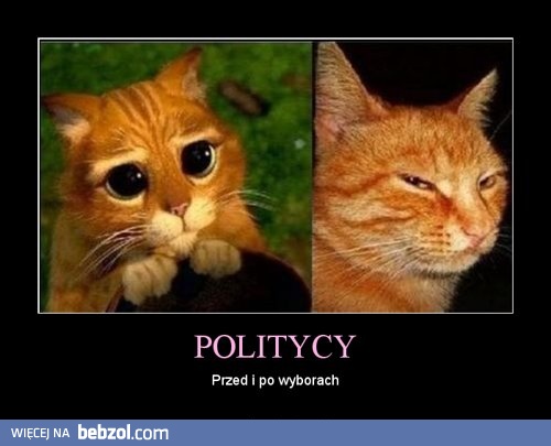 Prawda o politykach