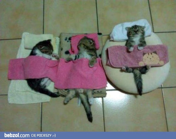 Nie budźcie nas za wcześnie 