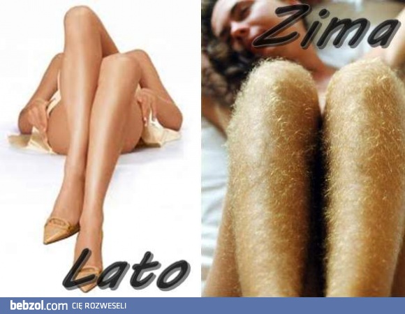 Różnica pomiędzy latem, a zimą