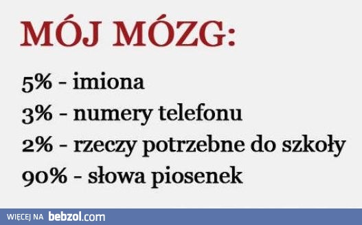 Mój mózg