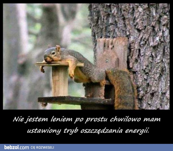Robota nie ucieknie