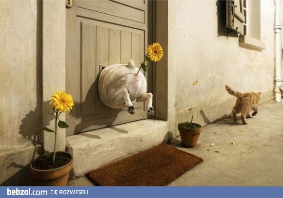 Och Romeo