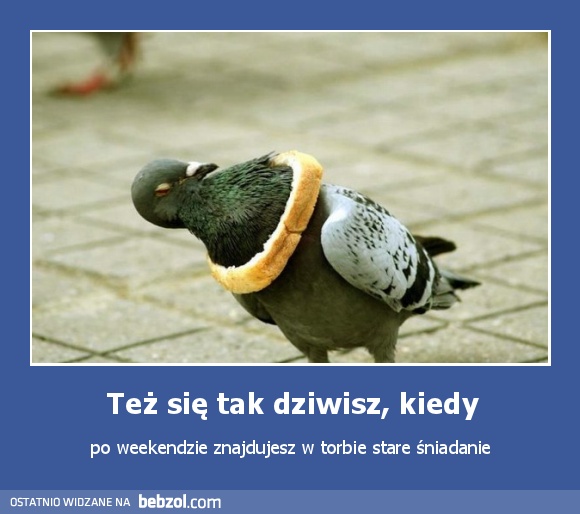 Też się tak dziwisz, kiedy