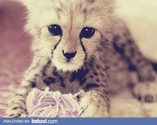 Pobawisz się ze mną