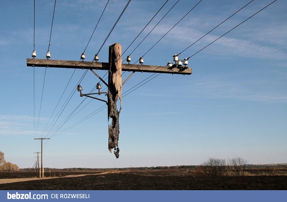 Nic mnie stąd nie ruszy