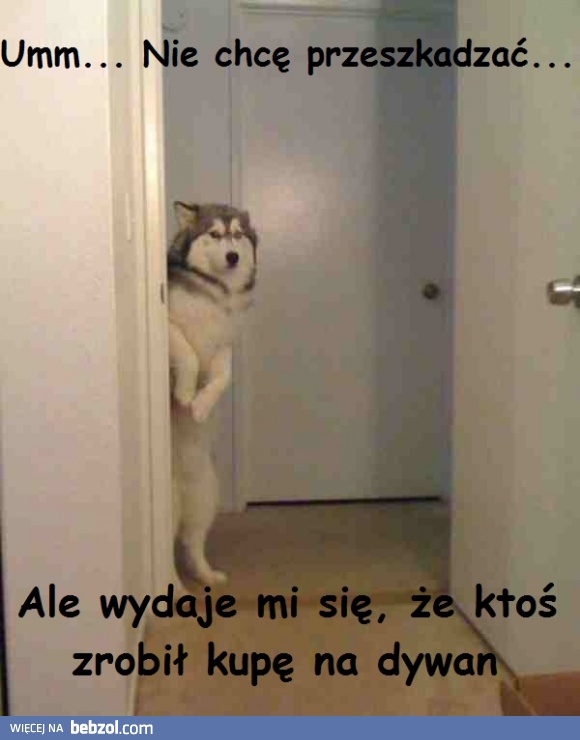 Przepraszam Państwa najmocniej, mam sprawę