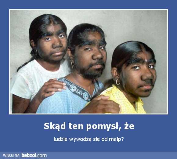 Skąd ten pomysł, że