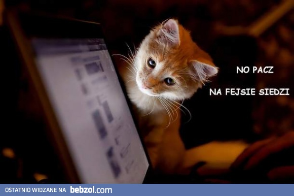 Co robisz?