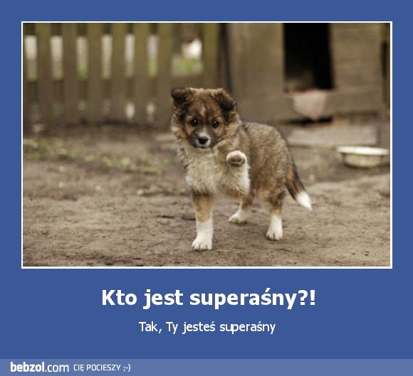 Kto jest superaśny?!