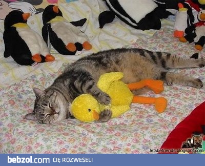 Po udanym polowaniu siesta